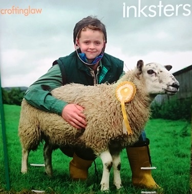 Caithness County Show - Inksters - Croting Law - Inky the Sheep